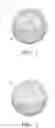 Fig. 02 - GOLF BALL AND THERMOPLASTIC MATERIAL