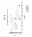 Fig. 02 - Polypropylene composition, a method of producing the same, and articles made therefrom