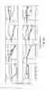 Fig. 08 - Growth factor which acts through ErbB-4 RTK