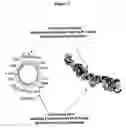 Fig. 04 - Biosynthetic Polypeptides Utilizing Non-Naturally Encoded Amino Acids