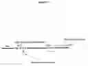 Fig. 06 - Biosynthetic Polypeptides Utilizing Non-Naturally Encoded Amino Acids