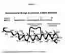 Fig. 07 - Biosynthetic Polypeptides Utilizing Non-Naturally Encoded Amino Acids