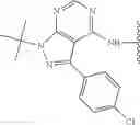 Fig. 43 - CONJUGATED SMALL MOLECULES