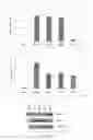 Fig. 44 - Antioxidant inflammation modulators: oleanolic acid derivatives with amino and other modifications at C-17