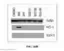 Fig. 49 - Antioxidant inflammation modulators: oleanolic acid derivatives with amino and other modifications at C-17
