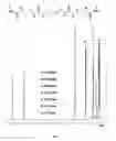 Fig. 02 - Dihydrazide compounds, preparation and uses thereof