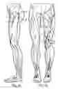 Fig. 02 - Cutaneous proprioreceptive activation garment system