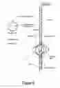 Fig. 07 - DEVICE AND METHOD FOR TREATING ANNULAR ORGAN STRUCTURE
