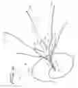 Fig. 08 - Vein filter