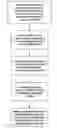 Fig. 01 - Multidimensional morphological reconstruction of genome expression activity