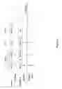 Fig. 05 - Decoding Order Recovery in Session Multiplexing