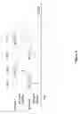 Fig. 06 - Decoding Order Recovery in Session Multiplexing