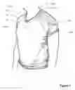 Fig. 02 - Posture improving device