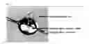 Fig. 06 - Air-Jacketed Coalescer Media with Improved Performance