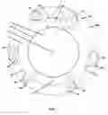 Fig. 02 - Rotary internal combustion engine