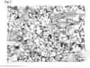 Fig. 02 - Case Hardening Steel Tube Having Improved Workability and a Process for its Manufacture