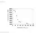Fig. 03 - METHOD OF MANUFACTURING TWINNING INDUCED PLASTICITY TYPE ULTRA-HIGH STRENGTH STEEL SHEET