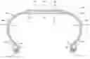 Fig. 01 - MODULAR TWO-PLY TIRE WITH DIRECTIONAL SIDE PLIES