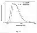 Fig. 07 - Organic light emitting diode and method of fabricating the same