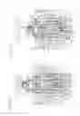 Fig. 06 - Double acting work support with internal sequence control