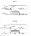 Fig. 06 - Data carrier and data carrier system