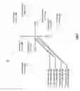 Fig. 06 - Multiple frequency antenna array for use with an RF transmitter or receiver
