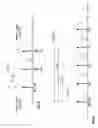 Fig. 07 - Multiple frequency antenna array for use with an RF transmitter or receiver