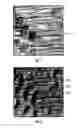 Fig. 06 - System and method for real-time co-rendering of multiple attributes