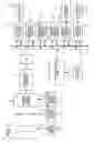 Fig. 08 - IMAGING APPARATUS AND METHOD