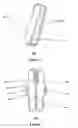 Fig. 06 - Apparatus for reducing background and wind noise to a microphone