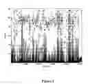 Fig. 02 - Video fingerprinting