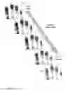 Fig. 11 - FINGERPRINT PREVIEW QUALITY AND SEGMENTATION