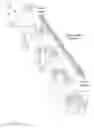 Fig. 14 - FINGERPRINT PREVIEW QUALITY AND SEGMENTATION
