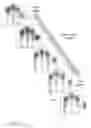 Fig. 15 - FINGERPRINT PREVIEW QUALITY AND SEGMENTATION