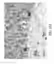 Fig. 16 - Method for quantitative video-microscopy and associated system and computer software program product