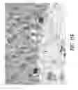 Fig. 20 - Method for quantitative video-microscopy and associated system and computer software program product