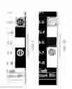 Fig. 09 - Method for generating a non-graphical digital image from an original digital image