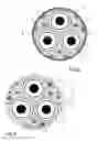 Fig. 03 - Power umbilical