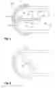 Fig. 02 - Pulsatile peristaltic pump for use in a cardiopulmonary bypass