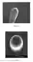 Fig. 03 - Method of fabrication of fibers, textiles and composite materials