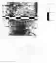 Fig. 01 -  ARTICLE, AND A METHOD FOR CREATING THE ARTICLE, WITH A CHEMICALLY PATTERNED SURFACE