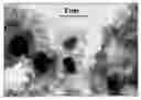 Fig. 01 - Microwave plasma CVD of NANO structured tin/carbon composites