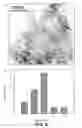 Fig. 06 - Microwave plasma CVD of NANO structured tin/carbon composites