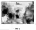 Fig. 07 - Microwave plasma CVD of NANO structured tin/carbon composites