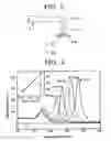 Fig. 06 - MULTIPHOTON ABSORPTION FUNCTIONAL MATERIAL, COMPOSITE LAYER HAVING MULTIPHOTON ABSORPTION FUNCTION AND MIXTURE, AND OPTICAL RECORDING MEDIUM, PHOTOELECTRIC CONVERSION ELEMENT, OPTICAL CONTROL ELEMENT, AND OPTICAL MODELING SYSTEM USING THE SAME