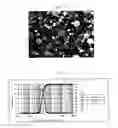 Fig. 02 - POSITIVE ELECTRODE ACTIVE MATERIAL POWDER AND POSITIVE ELECTRODE ACTIVE MATERIAL