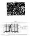 Fig. 03 - POSITIVE ELECTRODE ACTIVE MATERIAL POWDER AND POSITIVE ELECTRODE ACTIVE MATERIAL