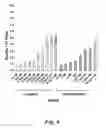 Fig. 07 - NUCLEIC ACID COMPOUNDS FOR INHIBITING WNT GENE EXPRESSION AND USES THEREOF