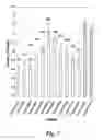 Fig. 08 - NUCLEIC ACID COMPOUNDS FOR INHIBITING WNT GENE EXPRESSION AND USES THEREOF