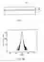 Fig. 02 - Group III-nitride semiconductor thin film, method for fabricating the same, and group III-nitride semiconductor light emitting device
